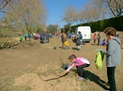 Plantada arbres 2016